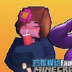 珍妮冒险模组游戏