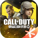 COD19自制版