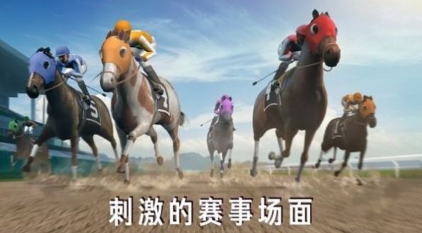 模拟赛马安卓版