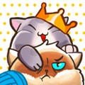 猫咪融合