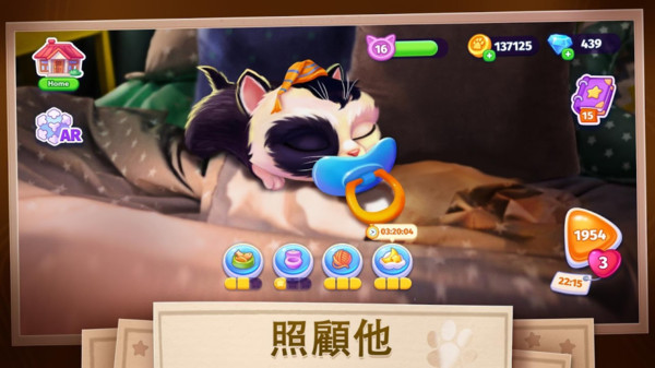 我的可爱猫咪无广告