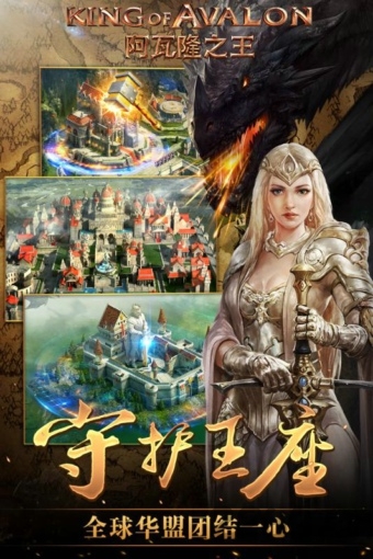 阿瓦隆之王ios版(3)