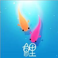 鲤KOI
