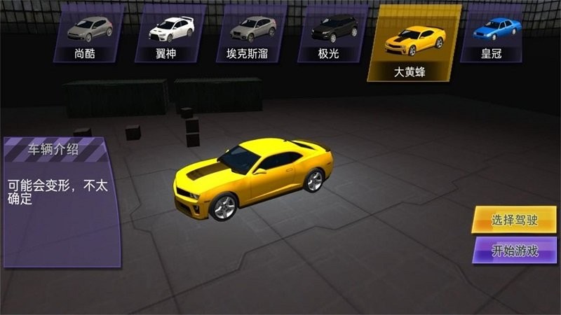 老司机的人生游戏图3