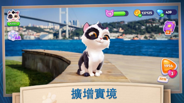 我的可爱猫咪无广告