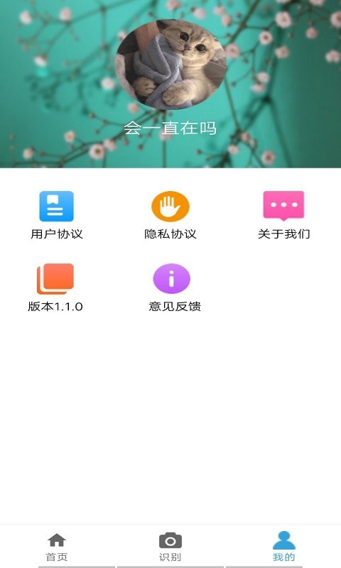 桃桃识植物