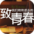 致青春动态壁纸直装版 V1.2