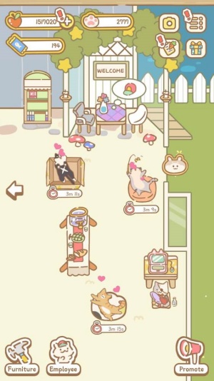 Cat Spa