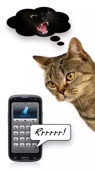 人猫翻译器官方最新版图1
