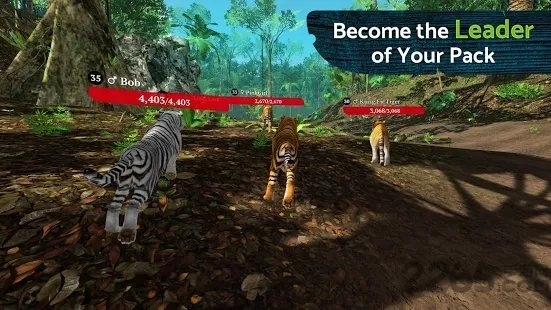 thetiger最新版