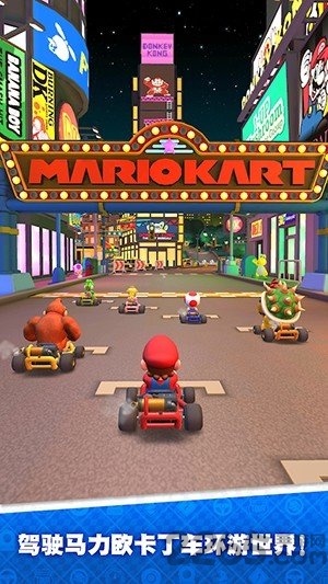 马力欧卡丁车巡回赛(MarioKart)手机版图1