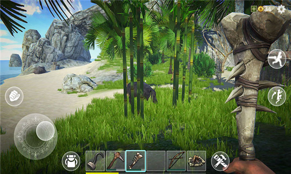 海贼卷轴遗失的世界直装版(3)