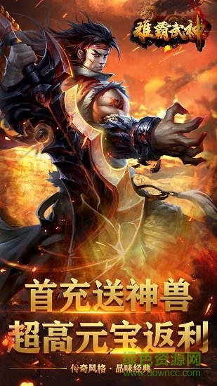 雄霸武神之圣龙独尊图4