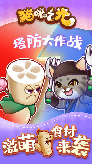 猫咪之光图1