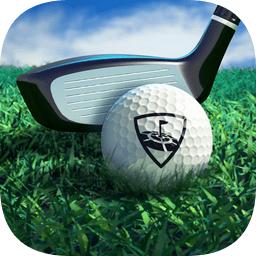 wgtgolf中文版