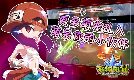 宠物风暴图1