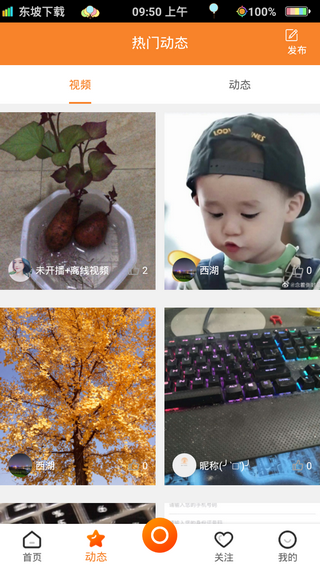 映趣图3