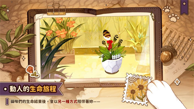 LosingCatsWay中文版