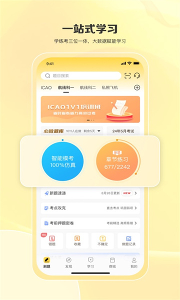 飞行之翼2026安卓直装版图1