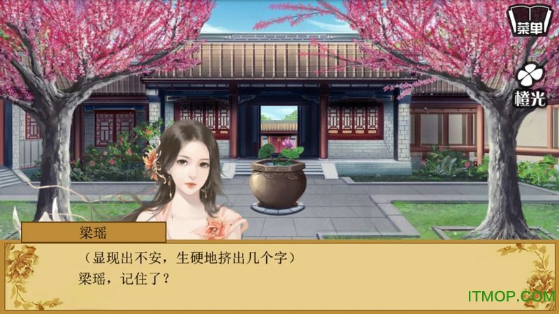 女权之垂帘听政图3