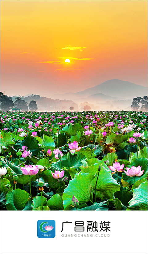 广昌融媒