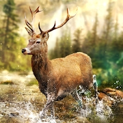 HuntingClash安卓版