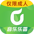 学音乐乐器