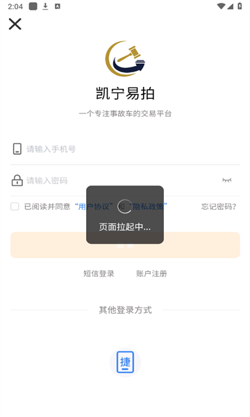 凯宁易拍安卓免费版图3