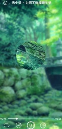 本地音乐播放器免费原版图3