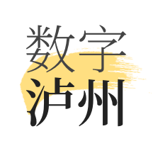 数字泸州