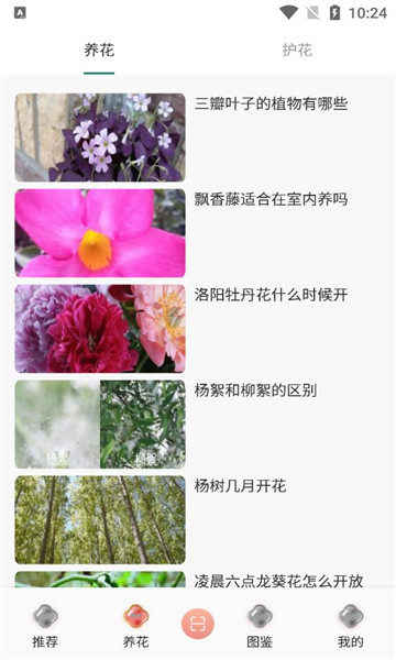 养花伴