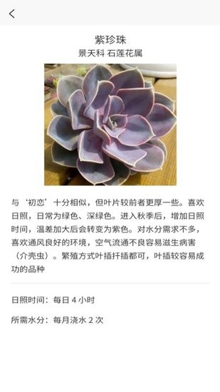 多肉大战软件图2