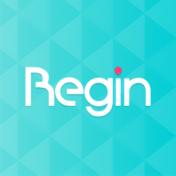 Begin软件原版
