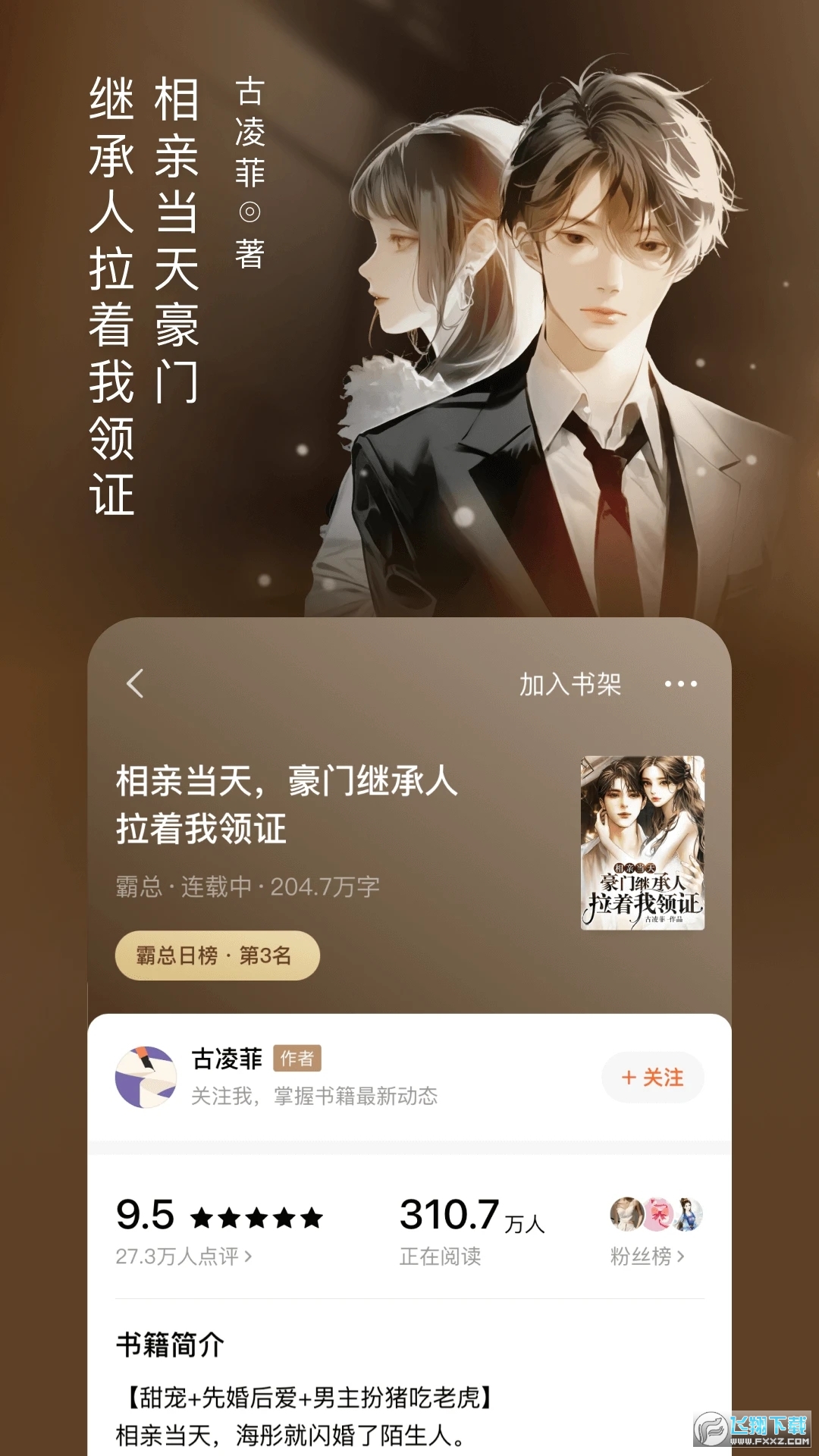 番茄听小说正版(2)