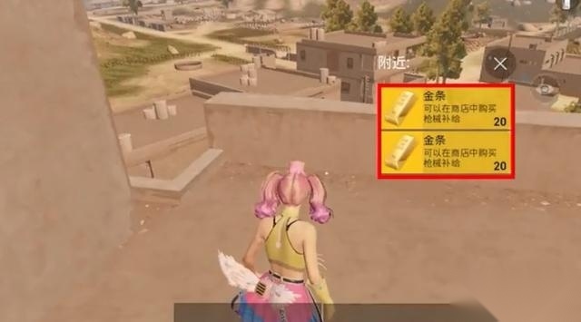 [体验服]和平精英游戏绿色版图2