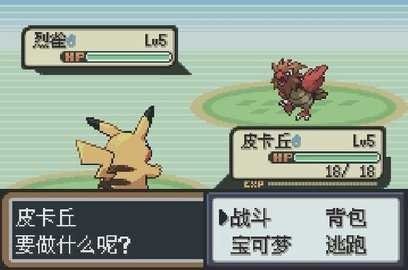 口袋妖怪圣灰汉化最终版图1