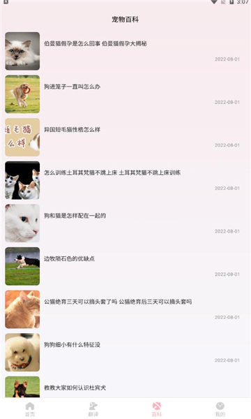 喵语翻译器免费原版图1