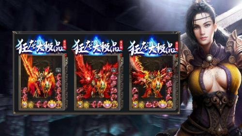 狂龙大极品三职业免费版图3