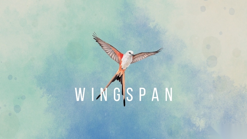 Wingspan游戏截图7