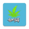 光标谱伴奏软件官方正版
