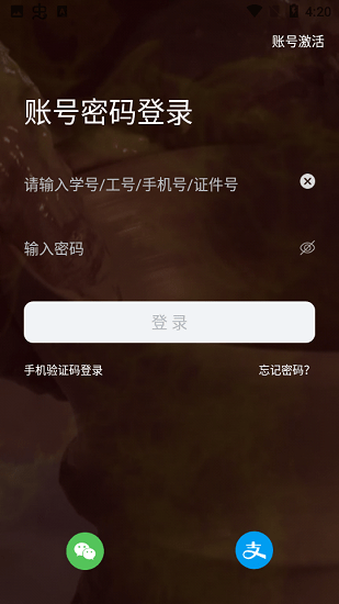 云上陶大最新版