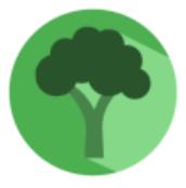 broccoli安卓版