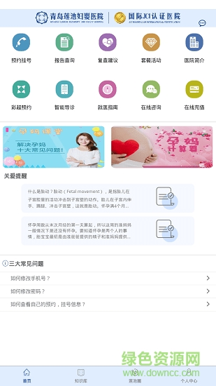 掌上莲池