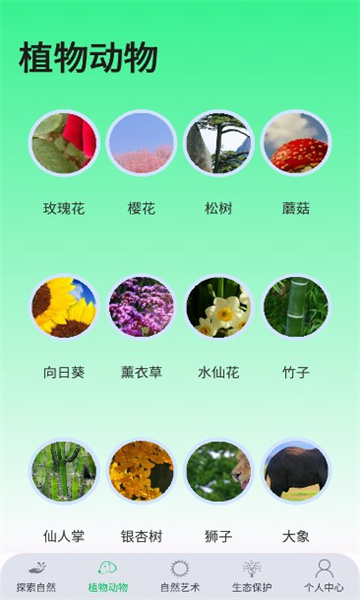 绿野乐园手机最新版图2