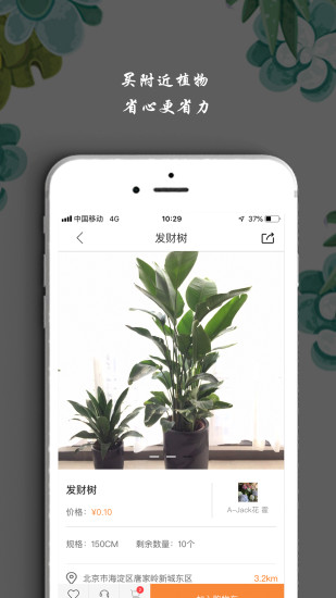 淘花运