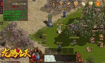 龙腾九天情怀传世正版图1