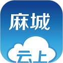 云上麻城最新版