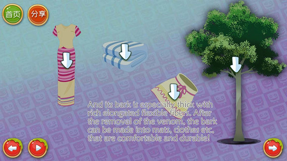 木奇灵植物科普(1)
