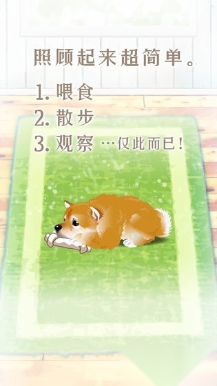 养育柴犬的治愈游戏中文版图4