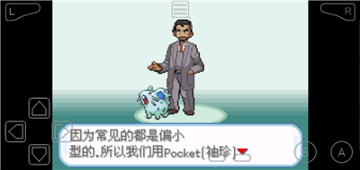 口袋妖怪剑盾（中文）手机版图2